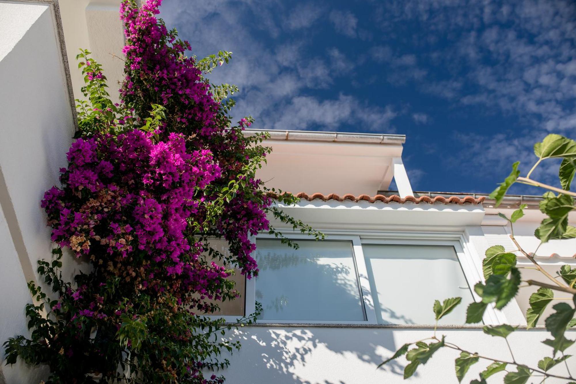 Apartman Rosa スペタルスカ・ドラガ エクステリア 写真
